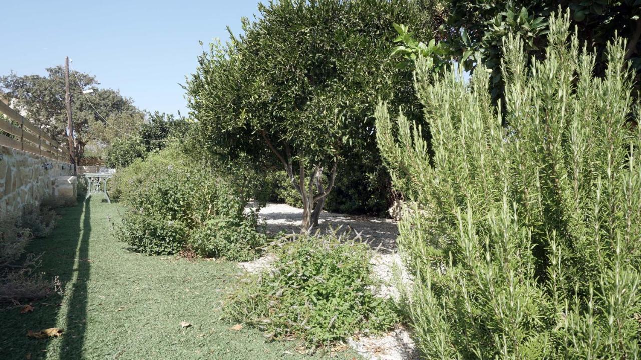 קוקינוס פירגוס Studio Eleni - Oasis Holiday Houses מראה חיצוני תמונה