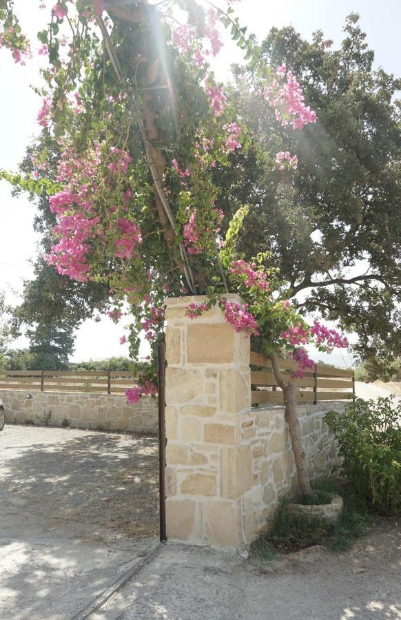 קוקינוס פירגוס Studio Eleni - Oasis Holiday Houses מראה חיצוני תמונה